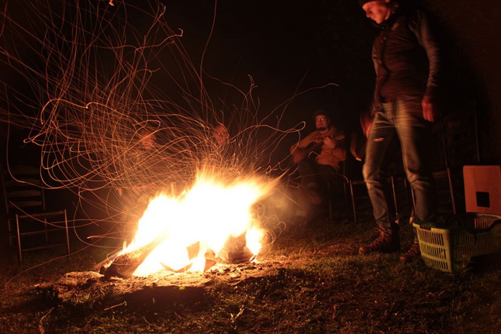 Lagerfeuer - ROHHOLZ Plant Trees