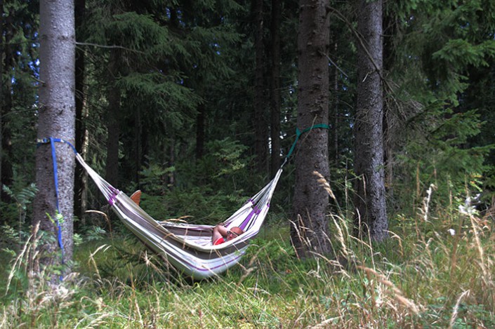 Chillax - ROHHOLZ Plant Trees