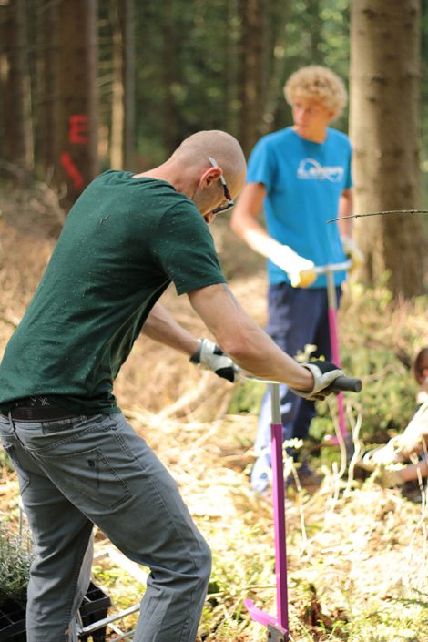 Plant Trees 2016 - Rohholz Baumpflanzaktion