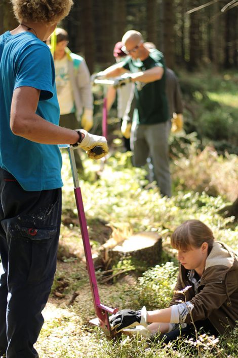 Plant Trees 2016 - Rohholz Baumpflanzaktion