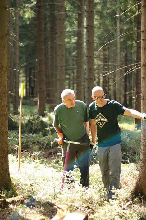 Plant Trees 2016 - Rohholz Baumpflanzaktion