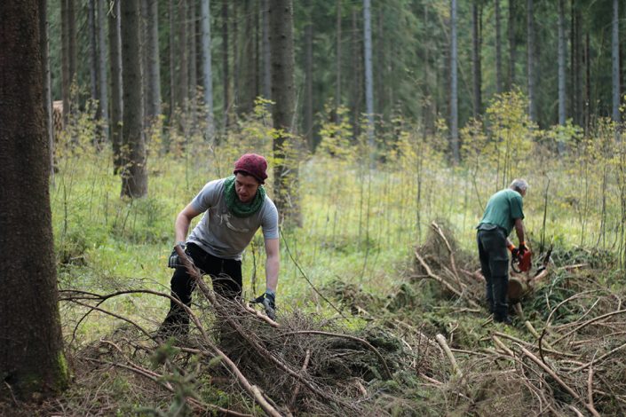 Reißig räumen im Forst - Plant Trees 2016 - Rohholz Baumpflanzaktion