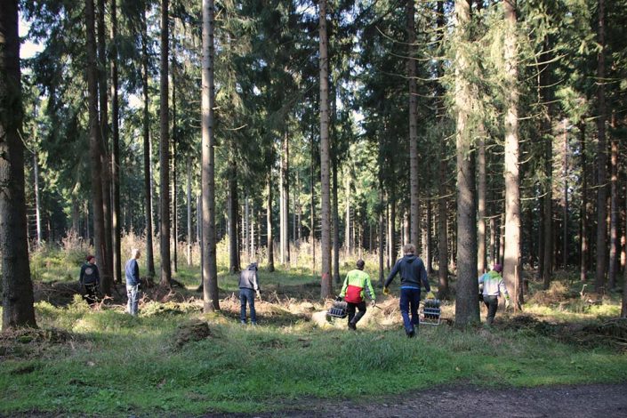 Plant Trees 2016 - Rohholz Baumpflanzaktion